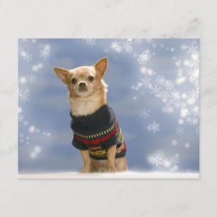 Chihuahua Weihnachtseinladung Einladung