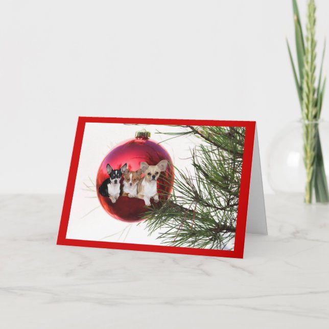 Chihuahua Weihnachtskartenball Feiertagskarte (Vorderseite)