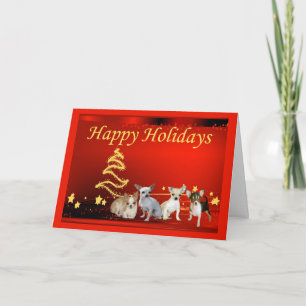 Chihuahua Weihnachtskartenstars Feiertagskarte