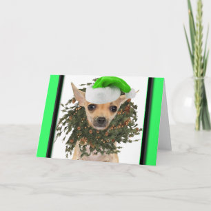 Chihuahua-WeihnachtsKranz u. -hut Feiertagskarte