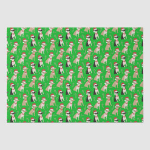 Chihuahua Weihnachtsmannmütze Candy Cane Green Chr Seidenpapier