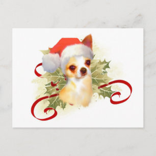 Chihuahua Weihnachtspostkarte Feiertagspostkarte