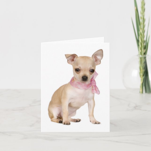 Chihuahua Welpe Hund Blank Note oder Grußkarte Karte (Vorderseite)