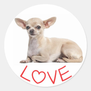 Chihuahua-Welpe Hund Fuchsia Rot Herz Liebe Runder Aufkleber