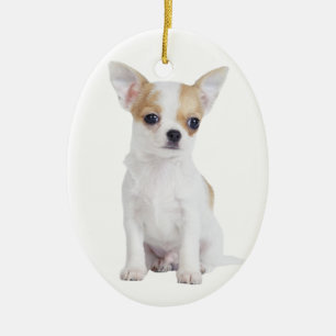 Chihuahua-Welpe Keramik Ornament