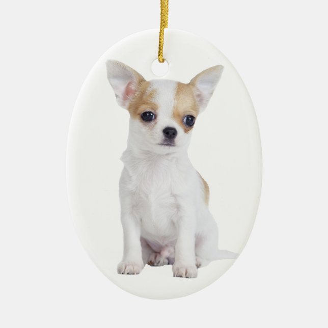 Chihuahua-Welpe Keramik Ornament (Vorne)