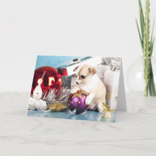 Chihuahua Welpe mit Weihnachtsball Feiertagskarte