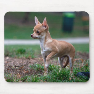Chihuahua-Welpe Mousepad