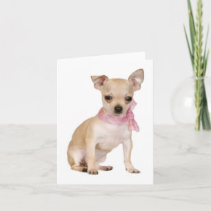 Chihuahua-Welpen-Hund Blanko-Notiz oder Grußkarte Karte