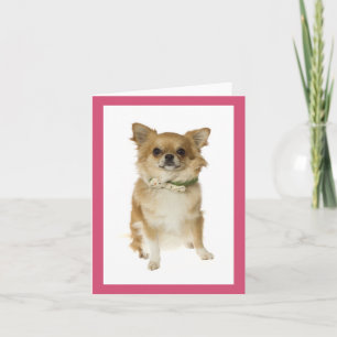 Chihuahua-Welpen-Hund Blanko-Notizkarte Karte