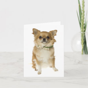 Chihuahua-Welpen-Hund Blanko-Notizkarte Karte