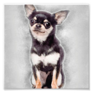 Chihuahua-Welpen-Sitzend Süße Tier-Dekoration Fotodruck