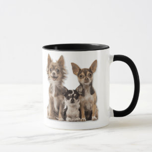 Chihuahua-Welpen Tasse