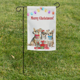 Chihuahua Welpen Weihnachten