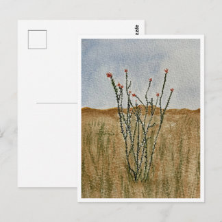 Chihuahua-Wüsten-Ocotillo-Postkarte Postkarte
