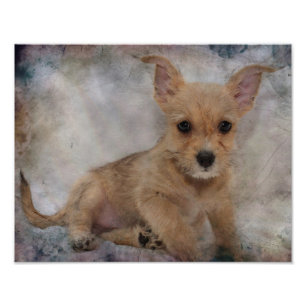 Chihuahua/Yorkie Puppy Fotodruck