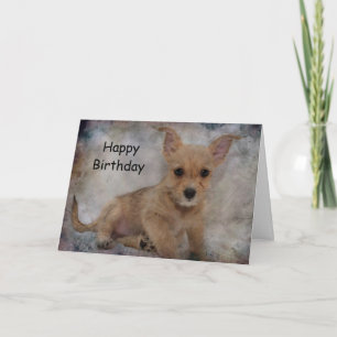 Chihuahua/Yorkie Puppy Karte