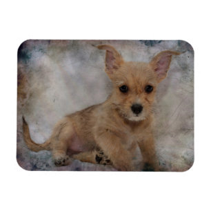 Chihuahua/Yorkie Puppy Magnet