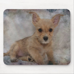 Chihuahua/Yorkie Puppy Mousepad