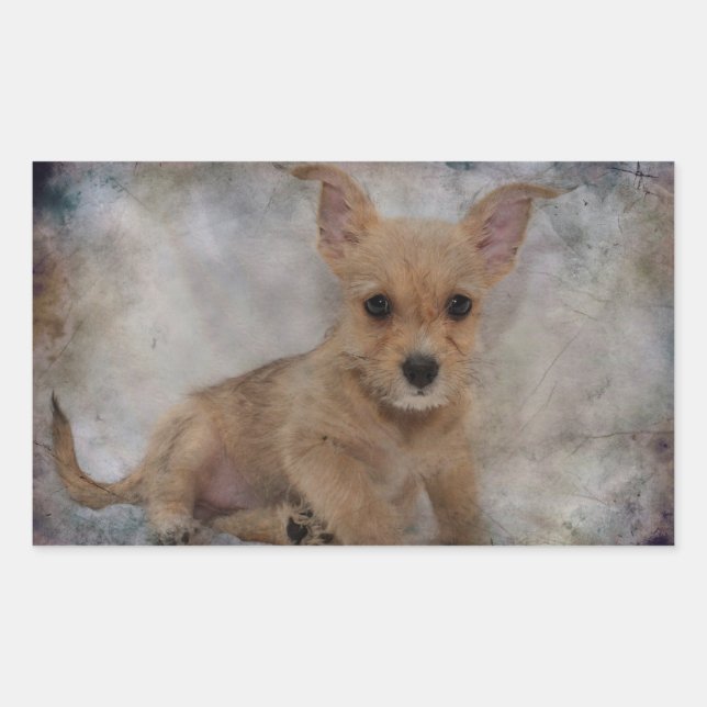 Chihuahua/Yorkie Puppy Rechteckiger Aufkleber (Vorderseite)