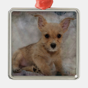 Chihuahua/Yorkie Puppy Silbernes Ornament