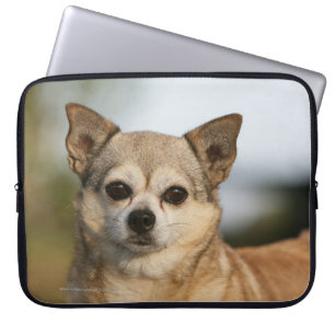 ChihuahuaHeadshot Laptopschutzhülle