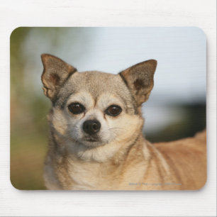 ChihuahuaHeadshot Mousepad