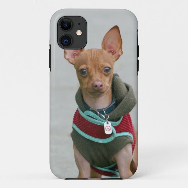 Chihuahuahund Case-Mate iPhone Hülle (Rückseite)
