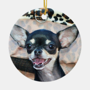 Chihuahuahundeverzierung Keramik Ornament