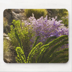 Chihuahuan-Wüstenpflanzen in Blüte Mousepad
