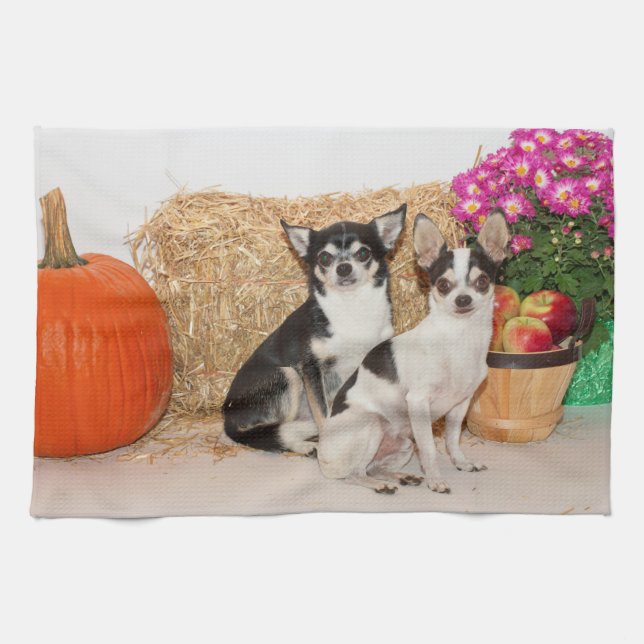 Chihuahuas im Fall Geschirrtuch (Horizontal)