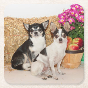 Chihuahuas im Fall Rechteckiger Pappuntersetzer