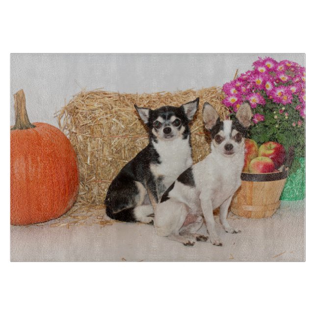 Chihuahuas im Fall Schneidebrett (Vorderseite)