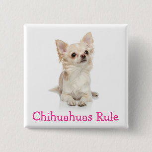Chihuahuas Regel Button Pin