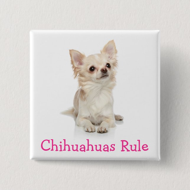 Chihuahuas Regel Button Pin (Vorderseite)