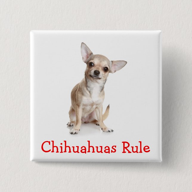 Chihuahuas-Regel-Button-Pin Button (Vorderseite)