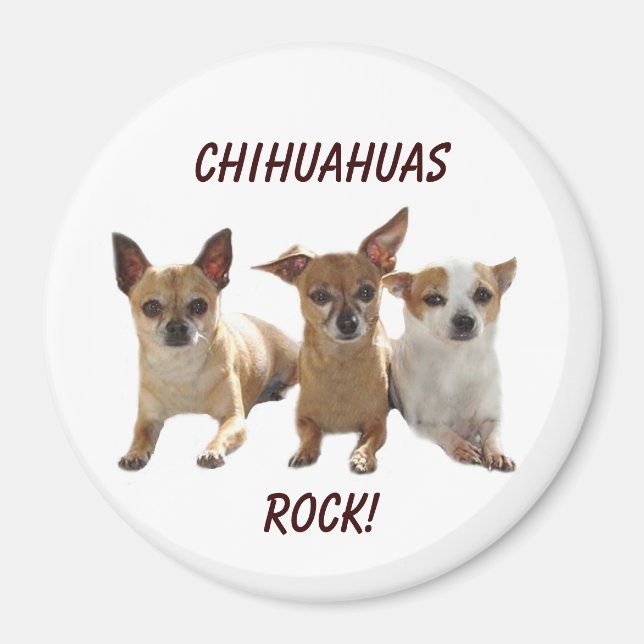 Chihuahuas Rock Magnet (Vorne)