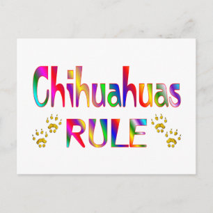 Chihuahuas Rule Postkarte