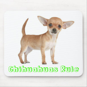 Chihuahuas Rule Puppy Dog Computer Mouse Pad Mousepad