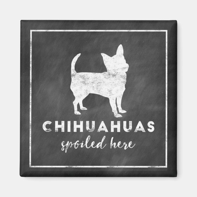 Chihuahuas wird hier Vintage Tafel verwöhnt Magnet (Vorne)