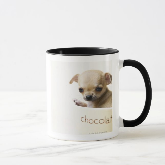 Chihuahuawelpe in der Schüssel (geerntet) Tasse (Rechts)