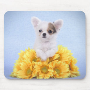 Chihuahuawelpe Mousepad