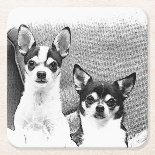 Chihuahuuas Rechteckiger Pappuntersetzer