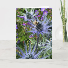 Chihuly Garden and Glass, Seattle, WA Series Karte