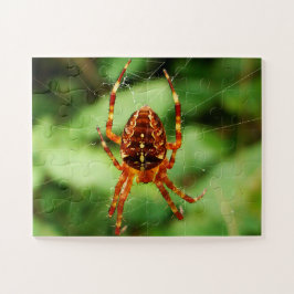 Children’s Spider Puzzle