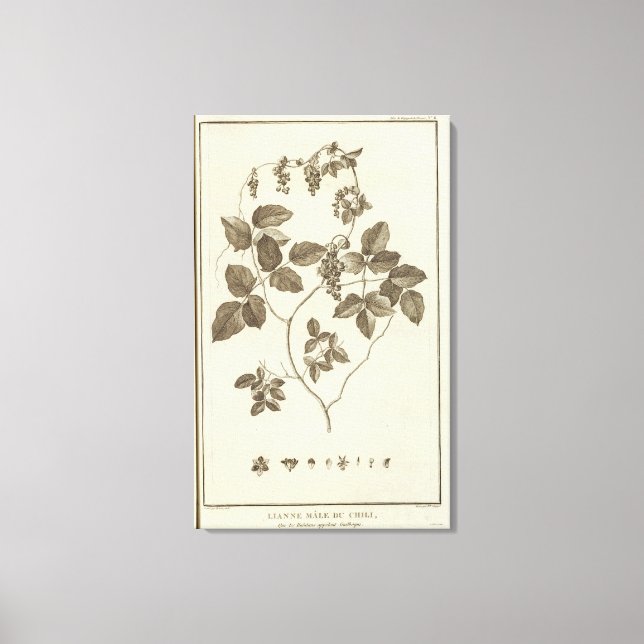 CHILE 8 LEINWANDDRUCK (Vorderseite)