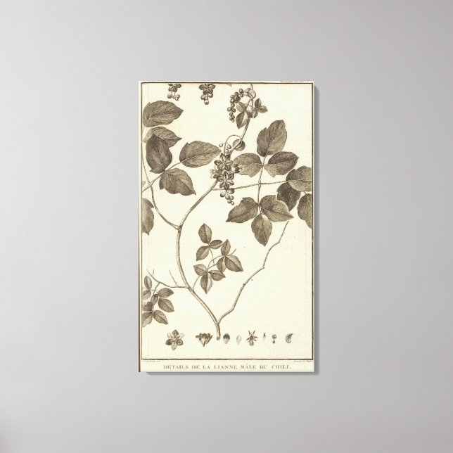 CHILE 9 LEINWANDDRUCK (Vorderseite)