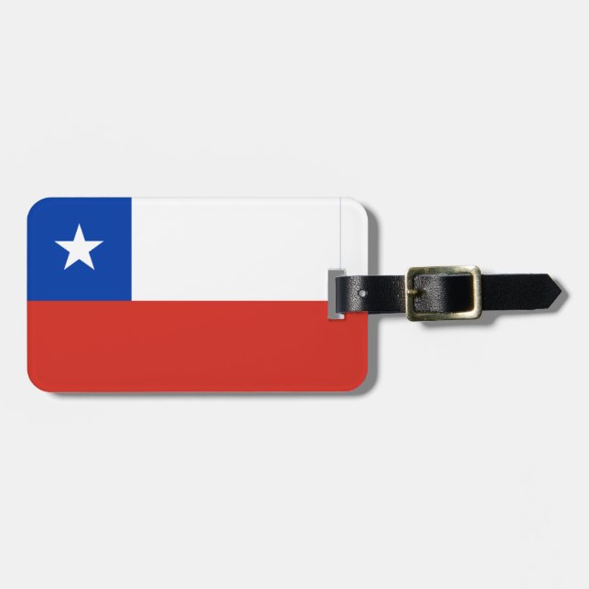 Chile-Kennzeichen Gepäckanhänger (Vorderseite horizontal)