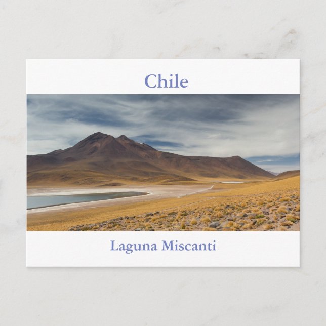 Chile - Laguna Miscanti Postkarte mit Text (Vorderseite)