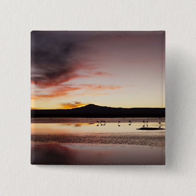 Chilean Flamingo Button (Vorderseite)